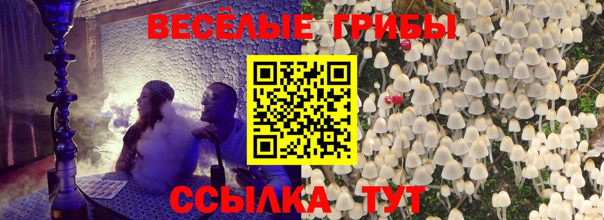 Галлюциногенные грибы мухоморы Менделеевск