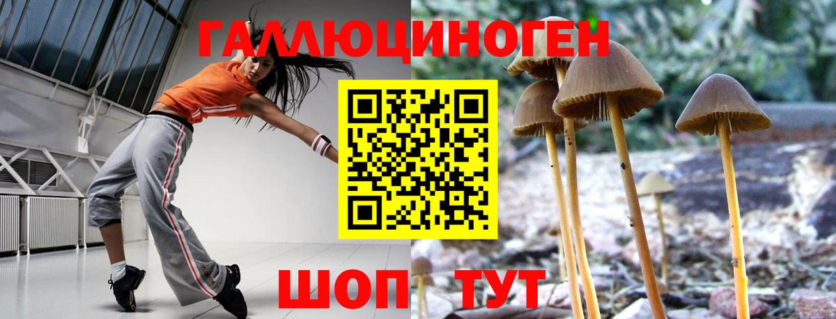 Менделеевск  Псилоцибиновые грибы ЛСД  Вход с VPN 